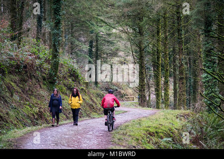 Un vélo de montagne équitation cours des deux randonneurs sur un sentier à Cardinham Woods Bodmin Cornwall. Banque D'Images