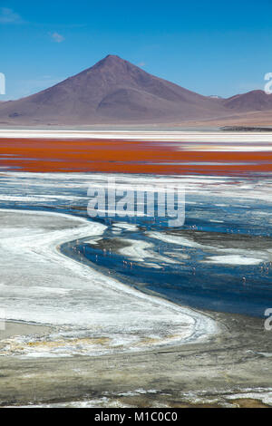 Sur l'pez ou Sud L'pez Province, Altiplano Bolivien, 2011 : paysage de la faune andine Eduardo Avaroa Réserve nationale, la Laguna Colorada Banque D'Images