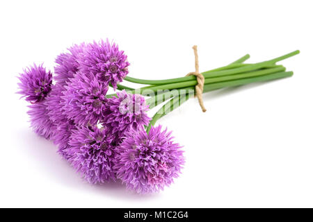 Bouquet de fleurs de ciboulette attaché isolé sur fond blanc Banque D'Images