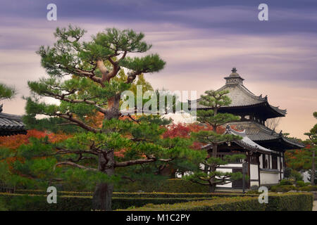 Licence disponible sur MaximImages.com - jardin avec de beaux pins devant le clocher du temple de Tofukuji et un sous-temple dans le paysage d'automne. Banque D'Images