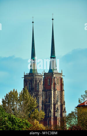 La Cathédrale de Saint Jean Baptiste de Wroclaw est le siège de l'Archidiocèse de Wroclaw et un emblème de la ville de Wroclaw dans Pol Banque D'Images