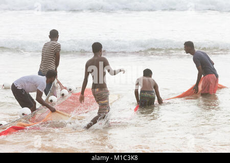 Akurala Beach, Sri Lanka - DÉCEMBRE 2015 - Les pêcheurs autochtones du rabatteur dans un immense résille, qui est une façon traditionnelle de la pêche ici Banque D'Images