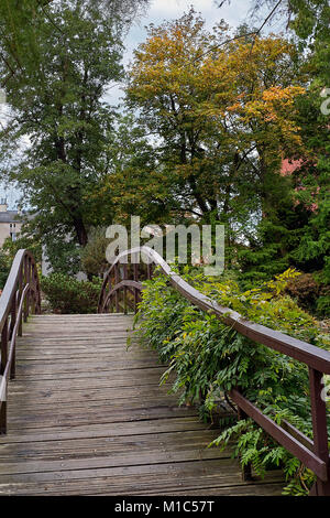 Pont japonais au jardin botanique de Wroclaw en Pologne. Paysage de ville. Banque D'Images