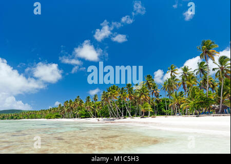 Belle plage tropicale des Caraïbes sur la péninsule de Samaná, République Dominicaine Banque D'Images