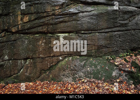 La mousse sur l'énorme rocher texture de pierre. Arrière-plan de la mousse. Mousse verte sur le mur de pierre avec des feuilles d'automne sur le terrain Banque D'Images