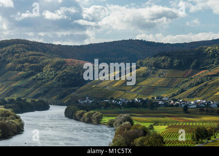 Vallée de la Moselle et les vignobles à Brauneberg et Kesten, Allemagne Banque D'Images