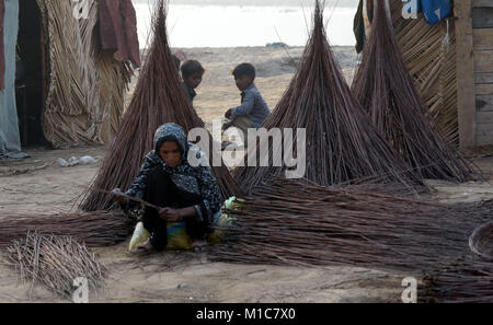 Lahore, Pakistan. 29 janvier, 2018. Famille gitane pakistanais est occupé à préparer le panier traditionnel de branches sèches. Le tissage de paniers est aussi vieux que l'histoire de l'homme. Des traces de paniers ont été trouvés dans les pyramides égyptiennes, et les chemises panier tissé ont laissé leurs impressions à l'intérieur des fragments de poteries anciennes. Credit : Rana Sajid Hussain/Pacific Press/Alamy Live News Banque D'Images