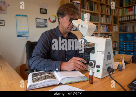 Der Flechtenbeauftragte Biologe Oliver Les lichens, biologiste expert Oliver Duerhammer à son bureau à Sinzing, Allemagne, 19 janvier 2018. Les lichens sont des bioindicateurs de la pollution atmosphérique et les changements climatiques. Photo : Armin Weigel/dpa Banque D'Images