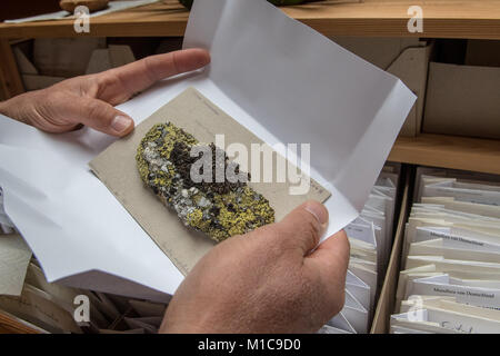 Les lichens, Duerhammer expert biologiste Oliver présente une silice avec le lichen Rhizocarpon geographicum et Parmelia omphalodes à Sinzing, Allemagne, 19 janvier 2018. Les lichens sont des bioindicateurs de la pollution atmosphérique et les changements climatiques. Photo : Armin Weigel/dpa Banque D'Images