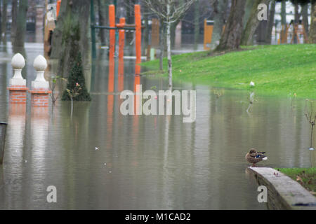 Paris, France. 28 janvier, 2018. La hausse de l'eau des crues à Paris, Seine en crue le 28 janvier 2018 Credit : RichFearon/Alamy Live News Banque D'Images