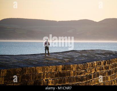 Lyme Regis, dans le Dorset, UK. 30Th Jan, 2018. Météo britannique. Croquantes et claires pour la journée, sur la côte sud de Dorset. Credit : DTNews/Alamy Vivre Crédit : Dan Tucker/Alamy Live News Banque D'Images