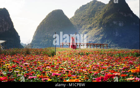 Champ de fleurs avec moulin à vent et des formations karstiques contexte dans le Guangxi, Chine Banque D'Images