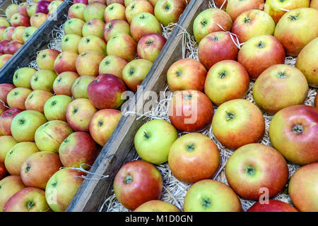 Pommes empilées frais au marché de fermiers Banque D'Images