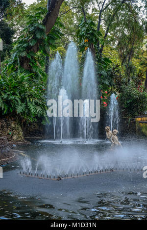 Fontaine, Jardin Municipal, Vieille Ville, Funchal, Madeira, Portugal, Springbrunnen, Altstadt Banque D'Images