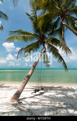 Dynamique unique cocotier arbre sur une plage tropicale blanc Banque D'Images