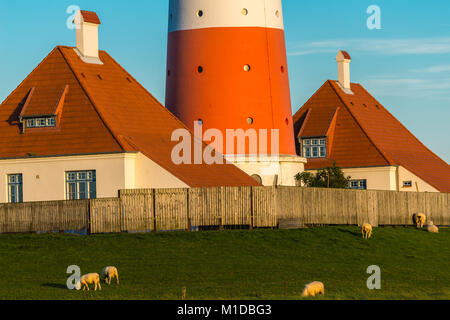 Allemagne les plus célèbre phare Westerheversand dans les marais salés de la mer du Nord, Büsum, Frise du Nord, Schleswig-Holstein, Allemagne, Europe Banque D'Images