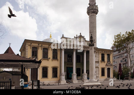 Les pigeons à Tesvikiye mosquée. Il s'agit d'une structure néo-baroque dans le quartier de Nisantasi / Tesvikiye Istanbul. Textes du Coran et de l'Empire Ottoman em Banque D'Images