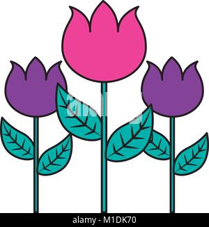 Trois souches de décoration rose petal flower leaf botanical vector illustration Illustration de Vecteur