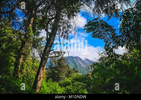 Gunung Sibayak majestueux volcan de Sumatra en Indonésie Banque D'Images