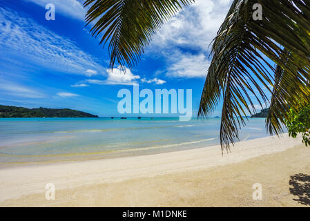 Lagon magnifique avec des bateaux dans l'eau turquoise derrière les feuilles de palmier à l'anse à la mouche un Mahé, Seychelles Banque D'Images