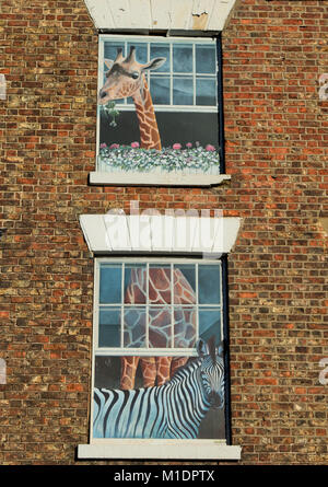 Des peintures murales en trompe-l'œil sur un bâtiment résidentiel aux zèbres et girafes amants décorant les fenêtres, Knaresborough, Angleterre, Royaume-Uni. Banque D'Images