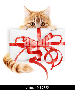 Chat de gingembre et paquet cadeau de Noël avec Red Ribbon bow, isolé sur fond blanc Banque D'Images