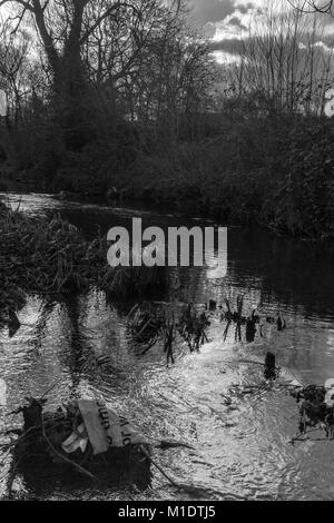 Dans la rivière de Ravensbourne Ladywell Champs, Lewisham Banque D'Images