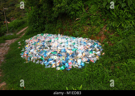 Tas de bouteilles en plastique aplati dans la végétation sous-évaluées en regard de sentier, Coroico, yungas, Bolivie Banque D'Images