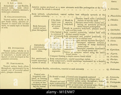 Ce manuel fournit un guide complet de l'Infusoria, détaillant les protozoaires flagellés, ciliés et tentacullifères, avec des descriptions des espèces britanniques et étrangères et de leurs caractéristiques biologiques. Banque D'Images