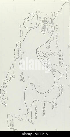 Un atlas des mesures de transparence au disque de Secchi et Forel-Ule codes couleurs pour les océans du monde. (1970) (19721839984) Banque D'Images