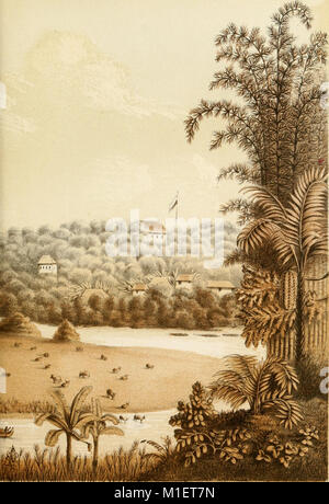 Cet ouvrage, publié dans les Annales d'horticulture et de botanique, se concentre sur la flore des jardins du Royaume des pays-Bas et les plantes cultivées dans les colonies des Indes orientales néerlandaises. Il comprend des descriptions détaillées de diverses plantes, de leurs utilisations et de leurs pratiques horticoles. Banque D'Images