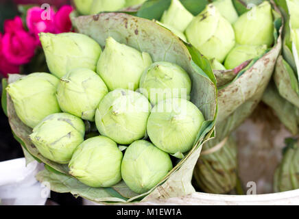 Lotus vert bouquet wrap par lotus feuilles en marché. Banque D'Images