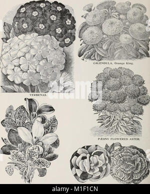 Alfred J. Brown Seed Co. - producteurs, négociants et importateurs (1902) (20375405700) Banque D'Images