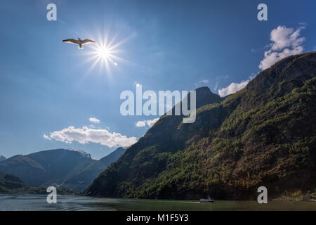 La Norvège avec fjord près de la Flam au printemps. Banque D'Images