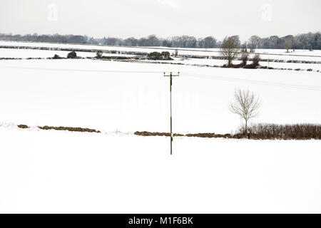 Le télégraphe ou les lignes d'alimentation avec un pôle singel dans un champ couvert de neige d'un blanc pur. Banque D'Images