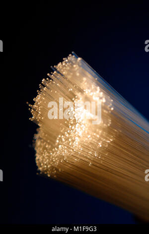 L'ensemble des filaments de fibre optique Banque D'Images