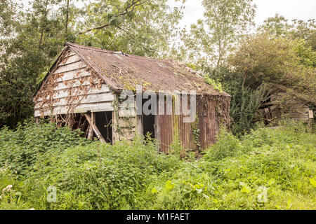 Ancien hangar tumbledown prêt pour la démolition Banque D'Images