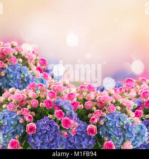 Bouquet de roses roses fraîches et fleurs bleu hortenzia sur fond rose fansy, fantasy garden Banque D'Images