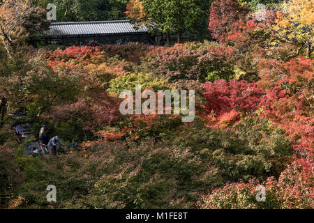 Kyoto, Japon, 9 novembre 2017 : les visiteurs posent Tofuku-ji prendre des photos au milieu d'une mer de feuillage de couleur d'automne. Banque D'Images