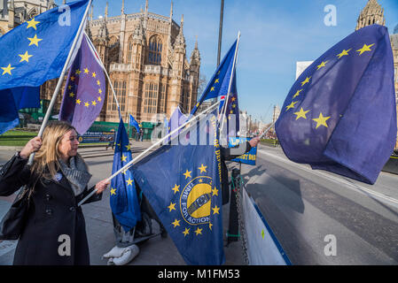 Londres, Royaume-Uni. 30 janvier, 2018. Les partisans des autres dans l'UE (en vertu de la SODEM - temps de l'action bandeau) intensifier leur protestation devant les Chambres du Parlement que les seigneurs de la Loi et examen Brexit reamins le premier ministre sous la pression de son arrière-ban. Crédit : Guy Bell/Alamy Live News Banque D'Images