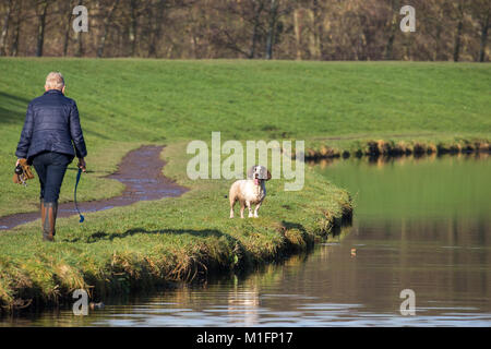 Kidderminster, UK. 30 janvier, 2018. Météo France : le soleil est une invitation ouverte à tout le monde de se débarrasser de ces blues Janvier et commencer à profiter de la piscine en plein air de l'environnement. Pour tous ceux qui souffrent de trouble affectif saisonnier (TAS), il n'est sûrement pas mieux guérir que d'enfiler les woollies d'hiver et d'apprécier les rayons de soleil d'hiver. Credit : Lee Hudson/Alamy Live News Banque D'Images