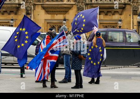 Anti-Brexit protestataires manifester devant les Chambres du Parlement à Londres, Angleterre, Royaume-Uni, UK Banque D'Images