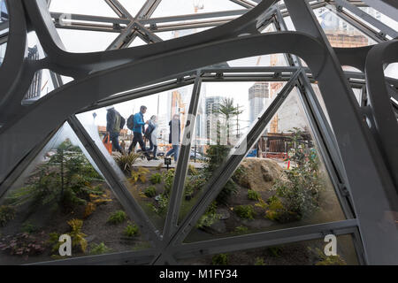 Seattle, USA. 30Th Jan, 2018. Les domaines de la découverte de l'exposition du sous-Bois Sphères Amazon a ouvert au public le mardi. L'innovation, structures géodésiques au pied d'Amazon's Day 1 bâtiment Maison 5 étages de bureaux, de vente au détail et un jardin botanique. Le sous-étage accueille les visiteurs avec des expositions interactives sur la flore et la conception du bâtiment. Banque D'Images