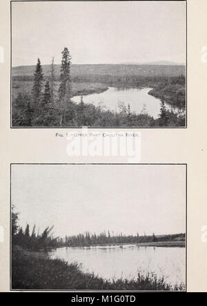 Une reconnaissance biologique de la base de la péninsule d'Alaska (1904) (20192364588) Banque D'Images