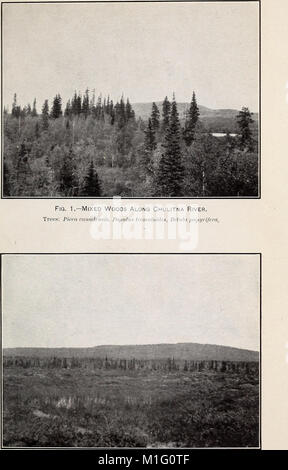 Une reconnaissance biologique de la base de la péninsule d'Alaska (1904) (20371793302) Banque D'Images