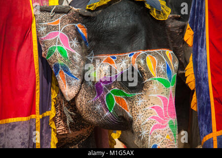 Triste à l'éléphant peint en prenant Fort Amber, Jaipur, Rajasthan, Inde Banque D'Images