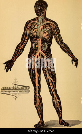 Un traité sur la physiologie et l'hygiène pour les établissements d'enseignement et de lecteurs en général (1887) (14596490228) Banque D'Images