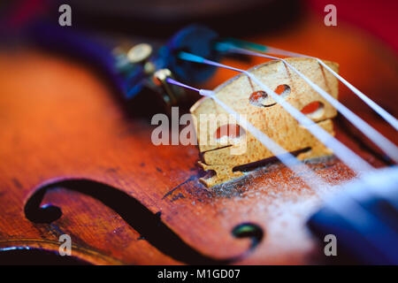 En violon style vintage avec une faible profondeur de champ et selective focus on bridge Banque D'Images