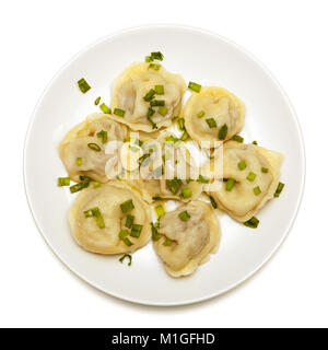 Ravioli sur une plaque blanche avec des oignons verts Banque D'Images