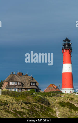 Maisons de vacances sur les dunes du sud de l'île de Sylt, la richesse et la beauté, Hörnum phare, Hoernum, Sylt, Schleswig-Holstein, Allemagne, Europe Banque D'Images